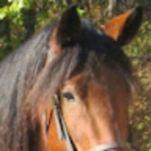 Meet your Posher, Carolyn